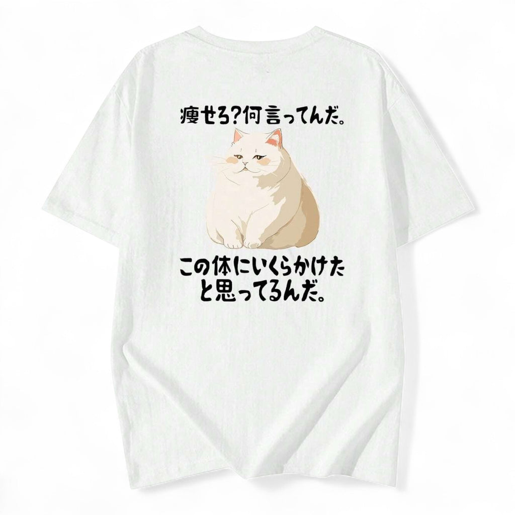 FUNNY FAT CAT JAPANESE T-SHIRT – HARUJUKU OVERSIZED STREETWEAR

